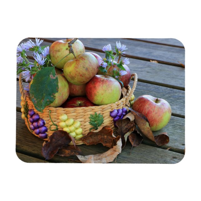 Bountiful Harvest Basket of Delicious Apples Magnet (Horisontell)