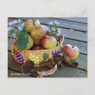 Bountiful Harvest Vykort