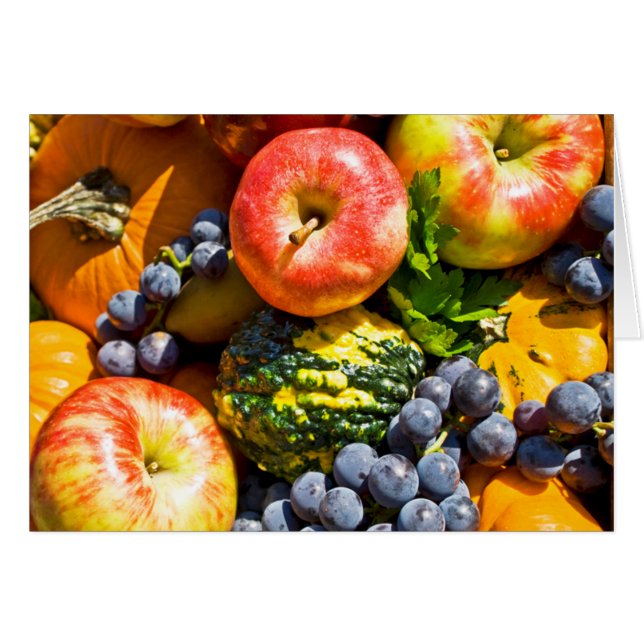 Bounty OBS Kort (Framsidan Horizontal)