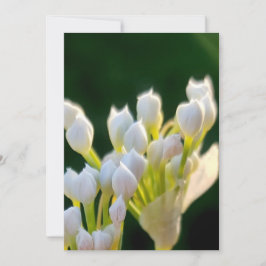 Bouquet Chives Deux Tack Kort