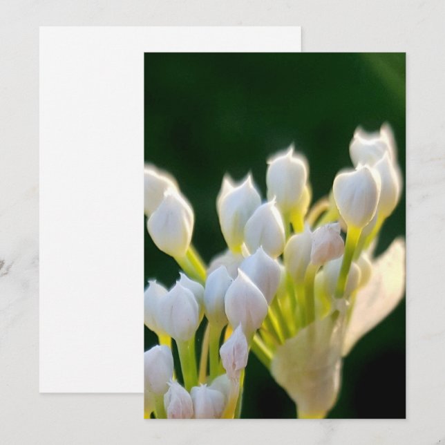 Bouquet Chives Deux Tack Kort (Fram/baksida)