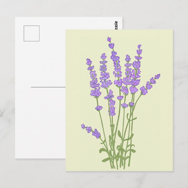 Bouquet de fleurs lavande. vykort (Fram/baksida)