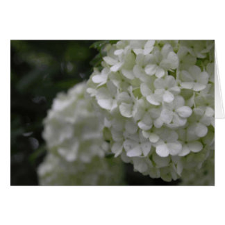 Bouquet Hälsningskort