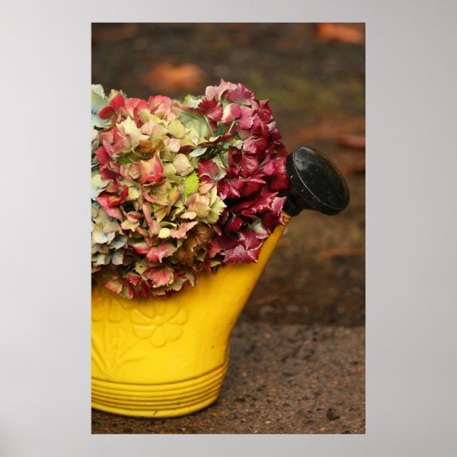 Bouquet och vattning kan Poster (Framsidan)