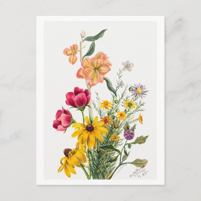 Bouquet of Flowers Botanical Illustration Vykort (Framsida)