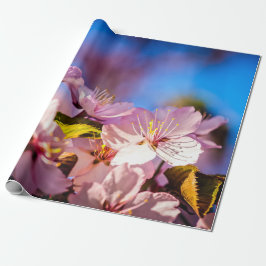 Bouquet of Sakura Flowers Presentpapper