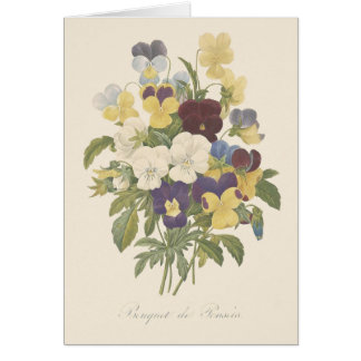 Bouquet Pansy Pansies Flower Illustration Hälsningskort