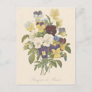 Bouquet Pansy Pansies Flower Illustration Vykort