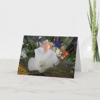 Bouquet, UCSC Organic Garden Kort