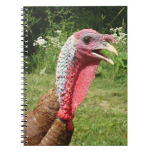 Bourbon röd Turkiet anteckningsbok