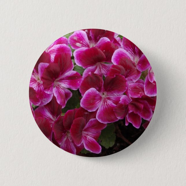 Bourgogne Geranium Knapp (Framsida)