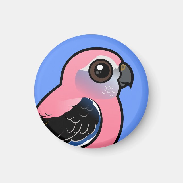 Bourkes Parakeet Magnet (Framsidan)