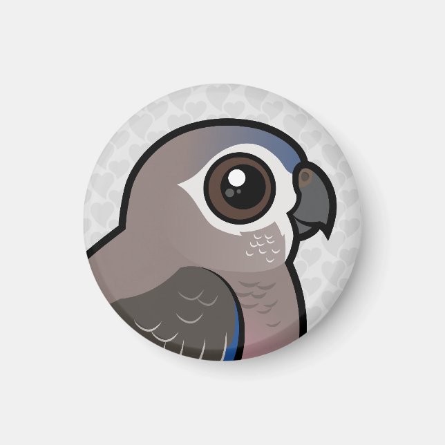 Bourkes Parrot Magnet (Framsidan)