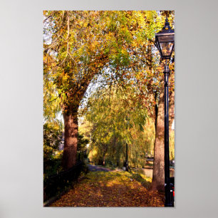 Bourton på Vatten Autumn Träd Cotswments UK Poster