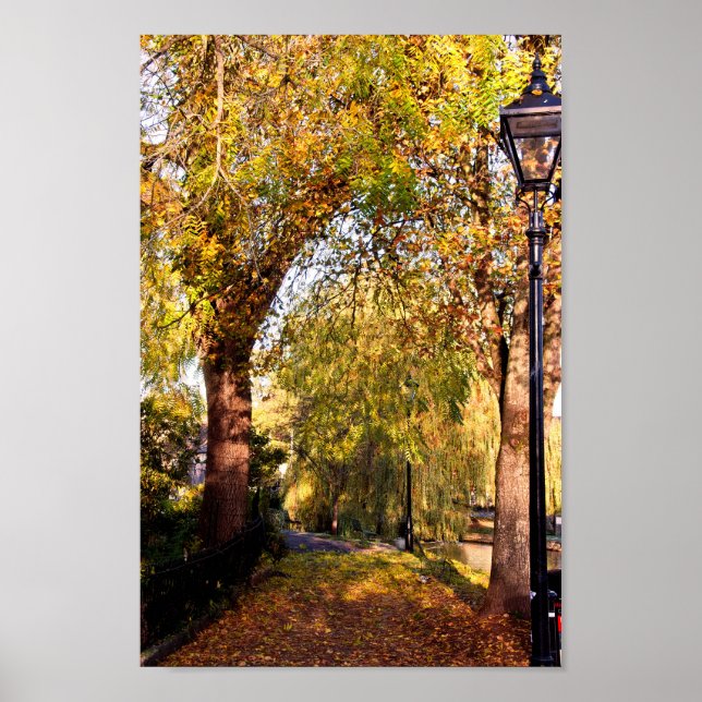 Bourton på Vatten Autumn Träd Cotswments UK Poster (Framsidan)