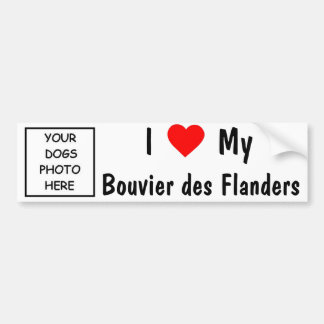 Bouvier des Flanders Bildekal