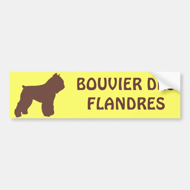 Bouvier des Flandres Bildekal (Framsidan)