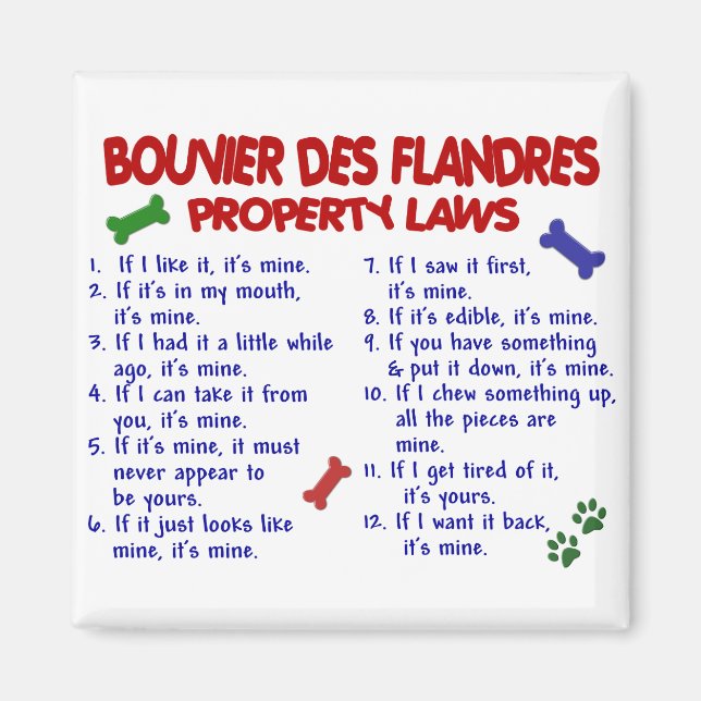 BOUVIER DES FLANDRES Egendom LAST 2 Magnet (Framsidan)