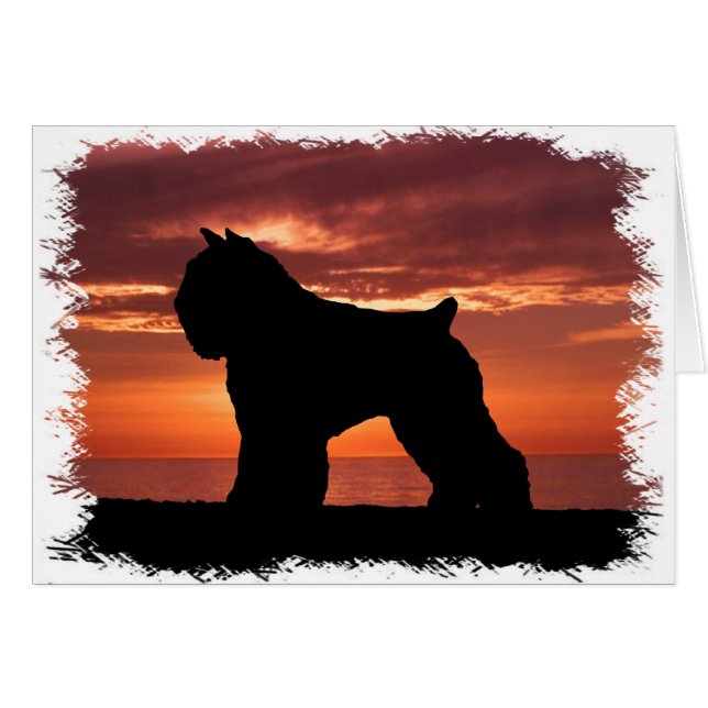 Bouvier des Flandres Hälsningskort (Framsidan Horizontal)