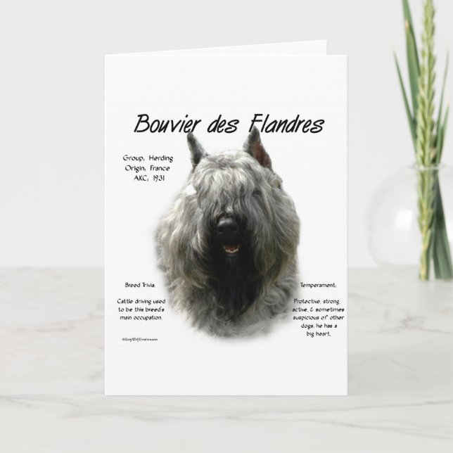 Bouvier des Flandres History Design Helgkort (Framsida)