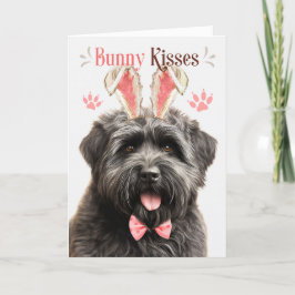 Bouvier des Flandres Hund i Bunny Öron för Påsk Helgkort