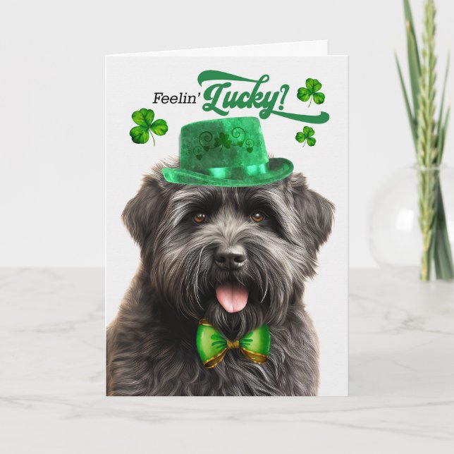 Bouvier des Flandres Hund Lucky St patrick's day Helgkort (Framsida)