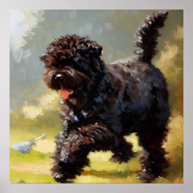 Bouvier des Flandres Hund Poster (Framsidan)