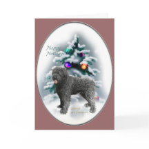 Bouvier des Flandres julklappar
