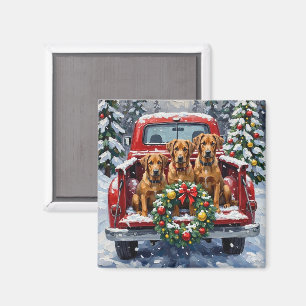 Bouvier des Flandres Julröd Lastbil Holiday Magnet