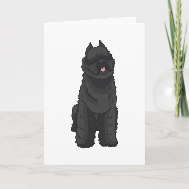 Bouvier des Flandres Kort (Framsida)