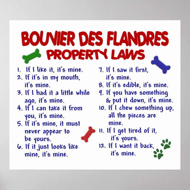 BOUVIER DES FLANDRES PL2 POSTER (Framsidan)