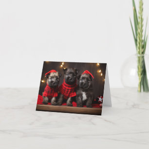 Bouvier des Flandres Puppies-julkort Kort