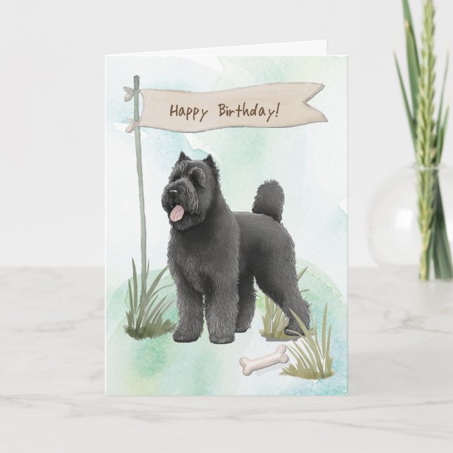 Bouvier des Flandres rasar Hund under födelsedagss Kort (Framsida)