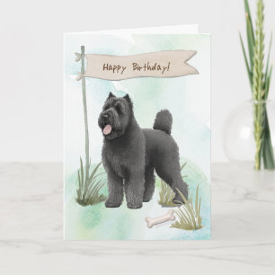 Bouvier des Flandres rasar Hund under födelsedagss Kort
