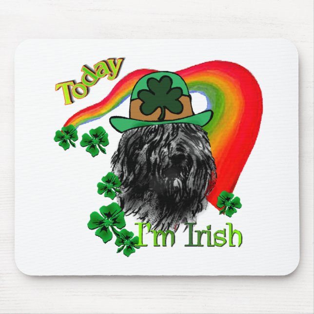 Bouvier des Flandres St Patricks Musmatta (Framsidan)