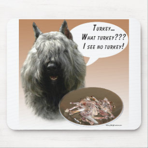 Bouvier des Flandres Turkey Musmatta