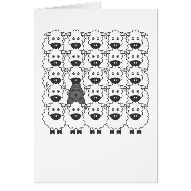 Bouvier i fåren hälsningskort (Framsidan)