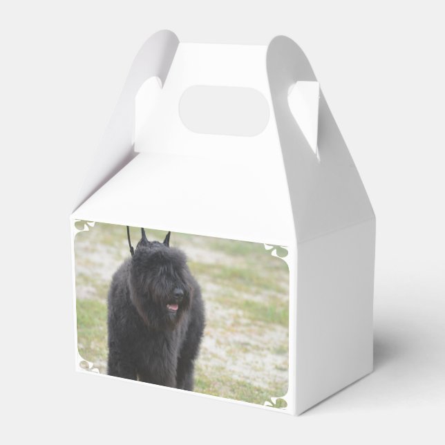 Bouviers des Flanders Presentaskar (Framsidan Sidan)