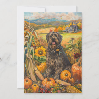 Bouviers des Flandre Autumn Harvest Thanksgiving Julkort