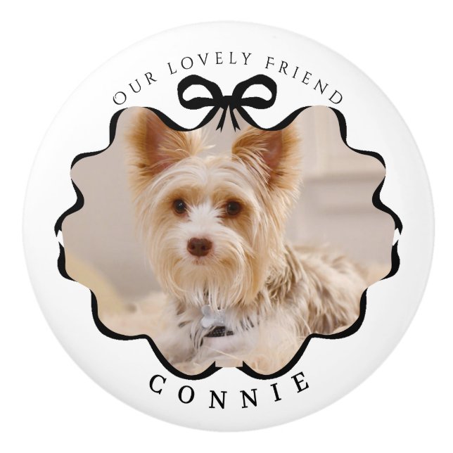 Bow Black Ribbon Pet White Knopp (Framsidan)