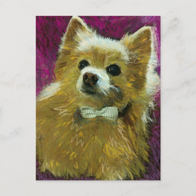 Bow Tie #2 Vykort (Framsida)