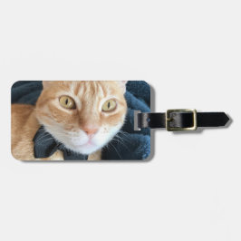 Bow tie cat bagagebricka