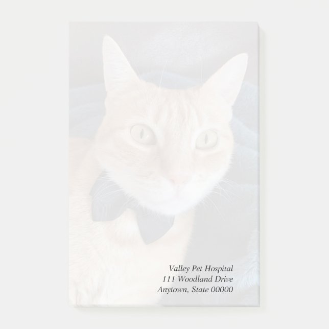 Bow tie cat post-it block (Framsida)
