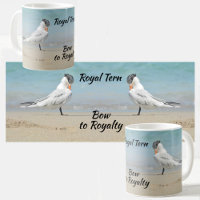 Bow to Royalty Royal Terns Seabirds Coastal
