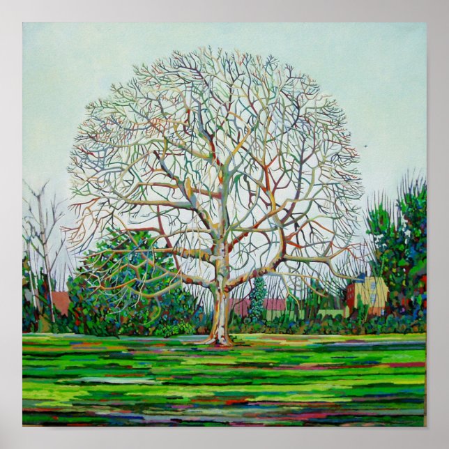 Bow Träd Winter Poster (Framsidan)