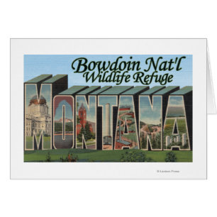 Bowdoin Nat'l Wildlife Refuge, Montana Hälsningskort