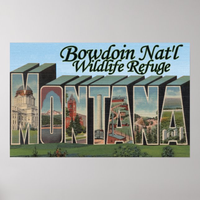 Bowdoin Nat'l Wildlife Refuge, Montana Poster (Framsidan)