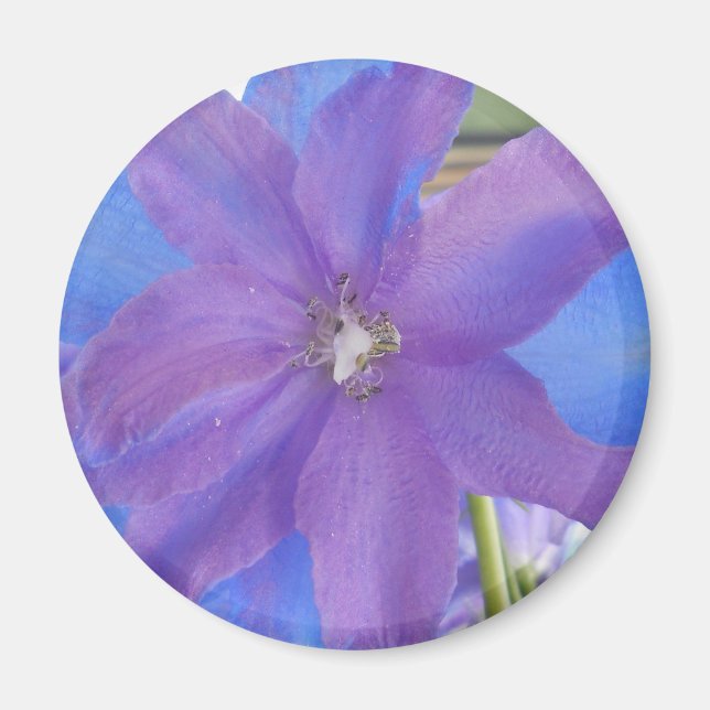 Bowen Magnet (Framsidan)