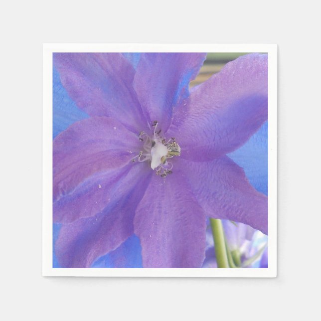 Bowen Pappersservett (Framsidan)