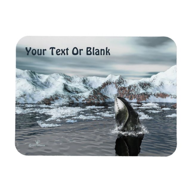 Bowhad Whale Magnet (Horisontell)